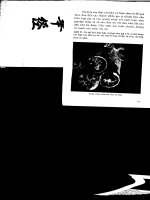 50 món ăn Thái part 6 ppsx