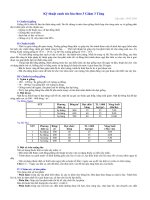 KỸ THUẬT TRỒNG LÚA 3 GIẢM 3 TĂNG