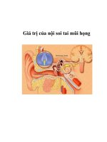 Giá trị của nội soi tai mũi họng potx