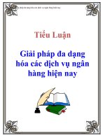 Tiểu luận : Giải pháp đa dạng hóa các dịch vụ ngân hàng hiện nay docx