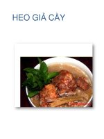 HEO GIẢ CẦY doc