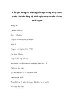 Cấp lại Chứng chỉ hành nghề dược (do bị mất) cho cá nhân cá nhân đăng ký hành nghề dược có vốn đầu tư nước ngoài pot