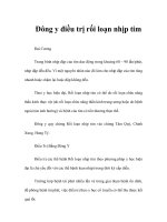 Đông y điều trị rối loạn nhịp tim pot