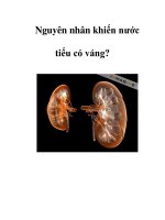 Nguyên nhân khiến nước tiểu có váng? potx