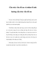 Cấu trúc vốn tối ưu và nhân tố ảnh hưởng cấu trúc vốn tối ưu pot