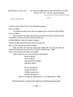 DE THI MON VAN TOT NGHIEP 2010