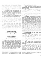 Atlas giải phẫu người - Phần nội tạng (Phần 4) doc