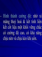 Bài giảng xây dựng mặt đường ôtô 4 P2 potx