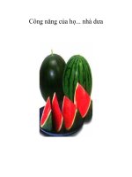 Công năng của họ... nhà dưa .Mùa hè thường được một số người gọi tắt doc