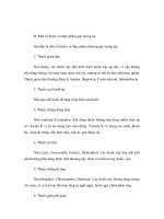 Dinh dưỡng và sức khỏe: Một số thuốc và thực phẩm gây tương tác docx