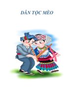 DÂN TỘC MÈO docx