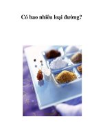 Có bao nhiêu loại đường? pps