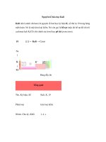 Nguyên tố hóa học Kali docx