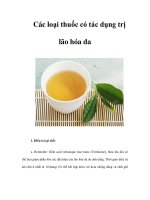 Các loại thuốc có tác dụng trị lão hóa da doc