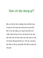 Gan có tác dụng gì? doc