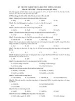 Đề thi tốt nghiệp THPT 2010