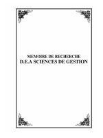 MEMOIRE DE RECHERCHE - D.E.A SCIENCES DE GESTION pptx