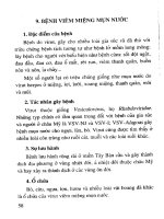 Biện pháp phòng chống các bệnh do virus từ động vật lây sang người (Phần 4) doc