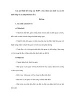 Đề cương giải phẫu học phần III (Phần 6) pdf