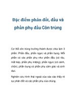 Đặc điểm phân đốt, đầu và phần phụ đầu côn trùng pptx