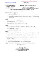 Đề thi thử Đại học Toán khối D (2010-2011) pot