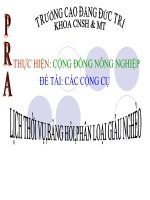 Thực hiện cộng đồng nông nghiệp đề tài: 