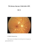 Tổn thương võng mạc ở bệnh nhân AIDS (Kỳ 2) docx