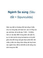 Ngành Sa sùng (Sâu đất = Sipunculida) ppsx