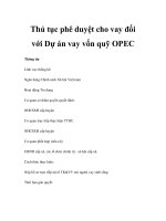 Thủ tục phê duyệt cho vay đối với Dự án vay vốn quỹ OPEC ppt