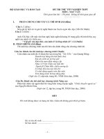 Tổng hợp các đề thi TN Văn - BGD