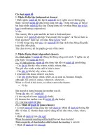 Các loại mệnh đề