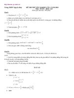 Đề Toán TN Trường Nguyễn Huệ