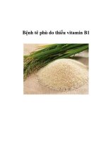 Bệnh tê phù do thiếu vitamin B1 pot