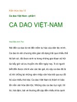 Kiến thức lớp 10 Ca dao Việt Nam –phần1 ppsx