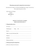 Mẫu phương án giải quyết lao động dôi dư do sắp xếp công ty pptx