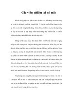 Các viêm nhiễm tại mi mắt potx