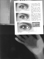 Kỹ thuật phục hồi và chỉnh sửa ảnh bằng photoshop tập 2 part 5 pps