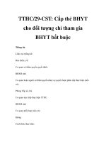 TTHC/29-CST: Cấp thẻ BHYT cho đối tượng chỉ tham gia BHYT bắt buộc pot