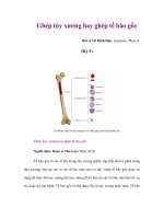 Ghép tủy xương hay ghép tế bào gốc (Kỳ 3) docx