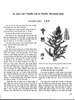 Những cây thuốc và vị thuốc Việt Nam (Phần II-III) pptx