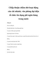 Chấp thuận chấm dứt hoạt động của chi nhánh, văn phòng đại diện tổ chức tín dụng phi ngân hàng trong nước pptx