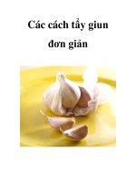 Các cách tẩy giun đơn giản pps