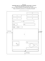 bieu mau thong tu 55