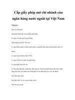 Cấp giấy phép mở chi nhánh của ngân hàng nước ngoài tại Việt Nam ppt