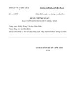 mau giay chung nnhan