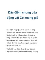 Đặc điểm chung của động vật Có xoang giả docx