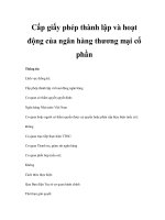 Cấp giấy phép thành lập và hoạt động của ngân hàng thương mại cổ phần doc