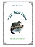 BÌA SÁCH-BÌA GIÁO ÁN 5