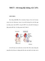 MSCT – 64 trong hội chứng ALCAPA pdf