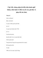 Cấp Giấy chứng nhận đủ điều kiện hành nghề khám, chữa bệnh về điều trị cắt cơn, giải độc và phục hồi sức khoẻ pdf